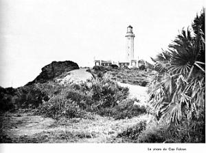 CAP FALCON  (33)